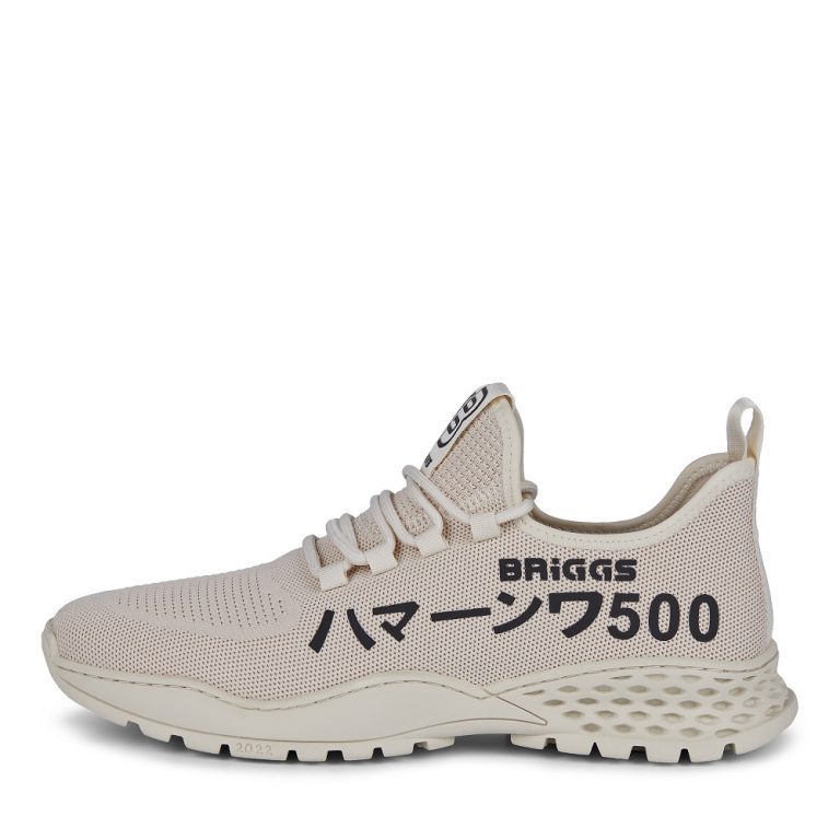 Кроссовки BRIGGS